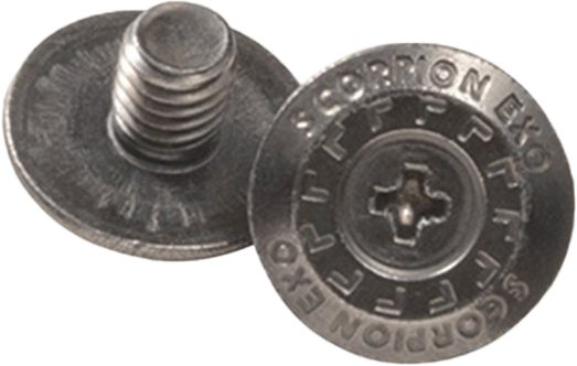 fits Harley Davidson X15 Side Cover Screws