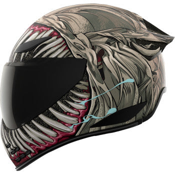 Icon Domain Full Face Helmet Grand Maw Gray