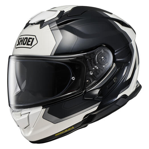 shoei gt-air full face helmet pendulum graphic tc-5 Unisex Adult (Matte Black/White, Large), 1 Pack Automotive Integral motorcycle helmet SHOEI GT-AIR